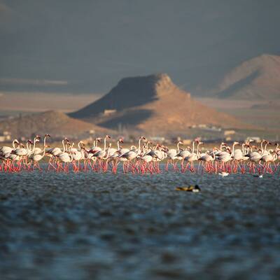 دریاچه میقان